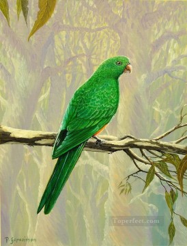 female king parrot birds Oil Paintings